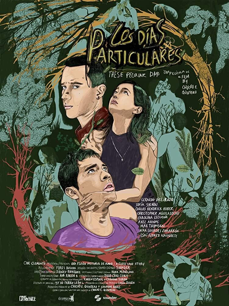 Los días particulares (2019) постер